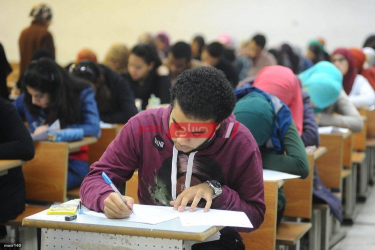 موقع بوابة الحكومة المصرية لتسجيل رغبات تنسيق الدبلومات الفنية فى مصر لطلاب دبلوم التجارة والصناعة والتمريض