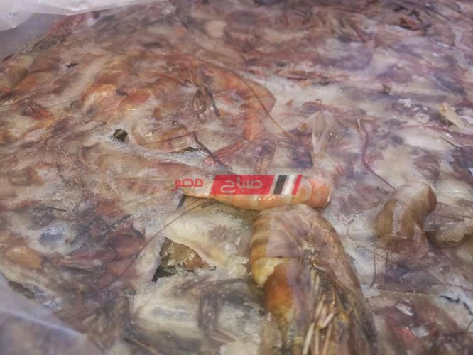 حملات بالفيوم تضبط 2.5 طن لحوم وأسماك غير صالحة للاستهلاك الآدمى