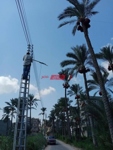 بالصور رفع كفاءة الإنارة بالشوارع الرئيسية بمحافظة دمياط