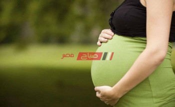 تفسير حلم رؤية الحمل في المنام لابن سيرين