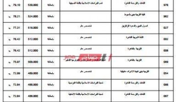 تنسيق الثانوية الأزهرية بنين موقع التنسيق الرسمي بوابة الحكومة المصرية