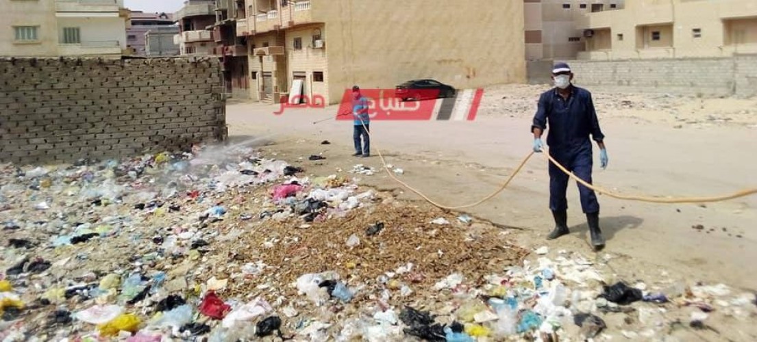 استمرار انطلاق حملات مكافحة القوارض والذباب بأحياء مدينة العريش