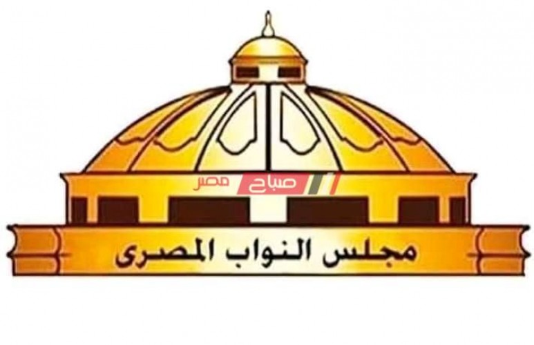 هل ينجح برلمان 2020 في خدمة الشباب المصري
