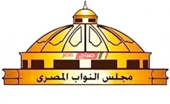 هل ينجح برلمان 2020 في خدمة الشباب المصري