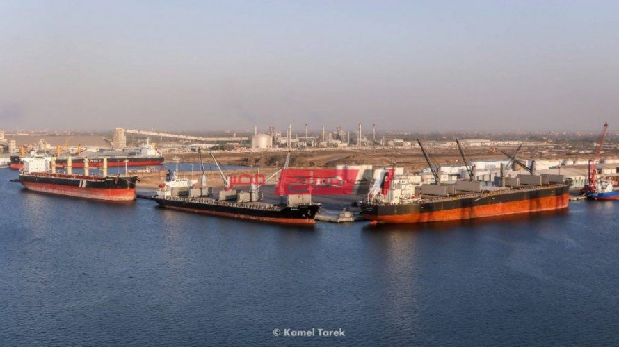 ميناء دمياط يستقبل 3708 رأس ماشية بوزن 950 طن