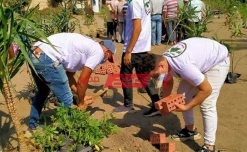 مبادرة مصر الجميلة بالغربية تقوم بزراعة 572 شجرة زينة ومثمرة