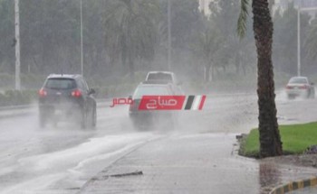 الأرصاد الجوية تكشف توقعات تساقط الأمطار وطقس غداً الأحد في مصر