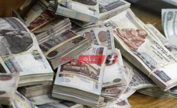 شهادات الاستثمار 2020 في البنوك المصرية