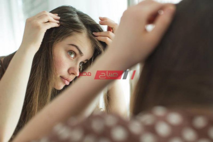 ما هي أنواع عمليات زراعة الشعر في مصر؟- تجميل كلينيك 