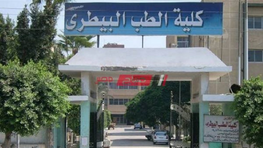 الأوراق والمستندات المطلوبة للتقديم في كلية الطب البيطري جامعة كفر الشيخ 2021