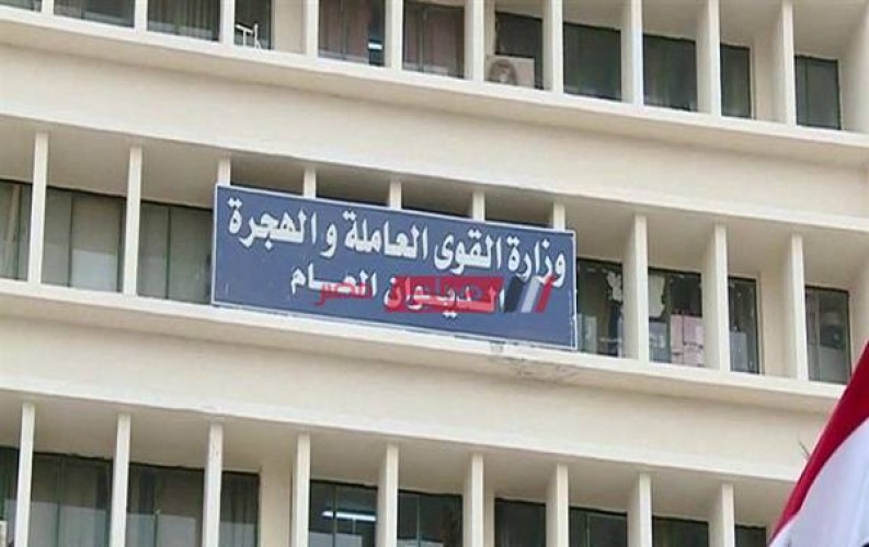 مديرية القوي العاملة بالإسكندرية تعلن تعيين 3497 شاب في القطاعين الخاص والاستثماري