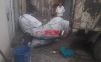 إستمرار أعمال منع ظاهرة إنتشار النباشين بمحافظة بورسعيد