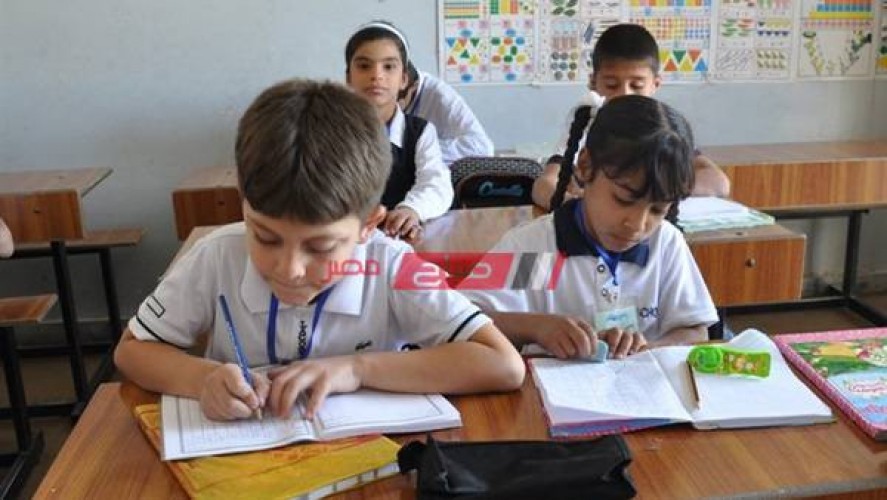 رابط استعلام نتيجة التحويل بين المدارس cairogovresults والأوراق المطلوبة