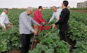 وكيل زراعة دمياط يتابع الزراعات القائمة على نظم الري الحديث فى نواحي مركز كفر سعد