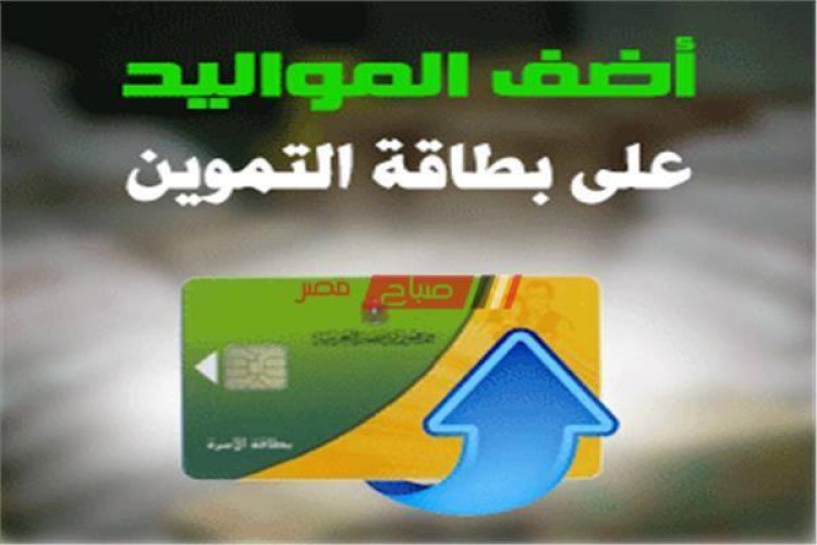 طريقة إضافة المواليد الجدد لبطاقة التموين شهر نوفمبر 2020 موقع دعم مصر الالكتروني