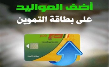 موقع تسجيل المواليد الجدد في بطاقة التموين عن طريق النت – موقع دعم مصر الإلكتروني