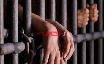 حبس عاطلين بتهمة سرقة الهواتف المحمول فى مصر القديمة 4 أيام على ذمة التحقيقات