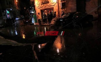 طقس الإسكندرية: سقوط شجرة بسبب الأمطار الغزيرة بمنطقة فلمنج