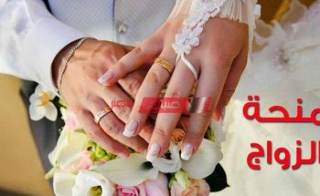 منحة الزواج المقدمة من وزارة التضامن الاجتماعي – اعرف التفاصيل والأوراق المطلوبة