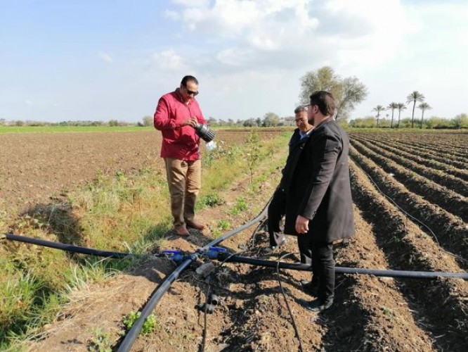 المرور الميداني على زراعات دمياط وتوعية المزارعين بأهمية مشروعات ومبادرات وزارة الزراعة