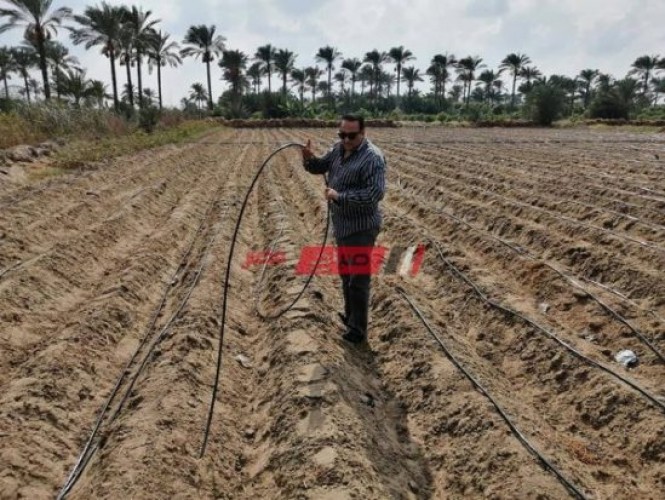 المرور على الزراعات بمنشأة ناصر مركز كفر سعد ومركز كفر البطيخ