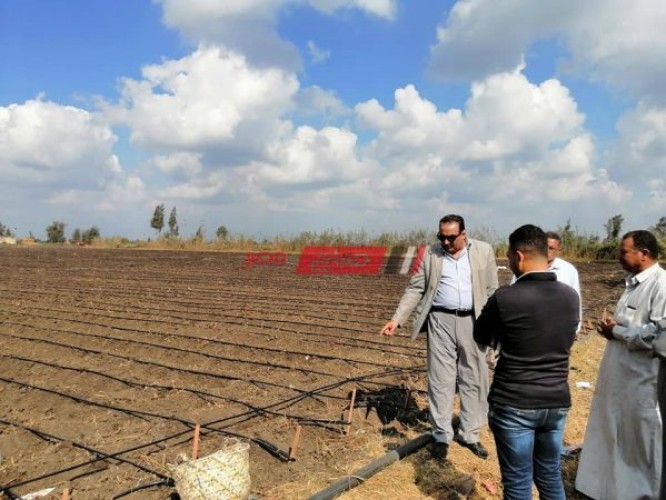 وكيل زراعة دمياط يشن حملة مرورية على زراعات البنجر فى نواحي مركز كفر سعد