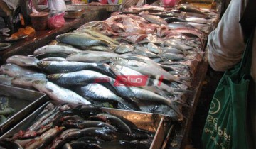 تحذير الصحة من انتشار أسماك سامة بالسوق تتسبب بالوفاة