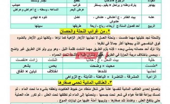 مراجعة نهائية لغة عربية الصف الأول الإعدادي الترم الأول 2021 القراءة والنصوص bdf