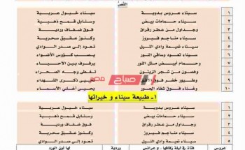 مذكرة مراجعة نهائية في اللغة العربية للصف الثاني الإعدادي الفصل الدراسي الأول 2021