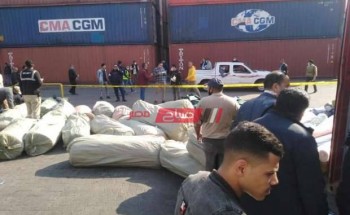 ميناء الدخيلة يحبط تهريب أدوية مجهولة محظور تداولها في الإسكندرية