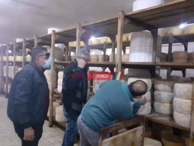 ضبط 20 قرص جبنة رومي فاسدة في مصنع بمنطقة العامرية في الإسكندرية