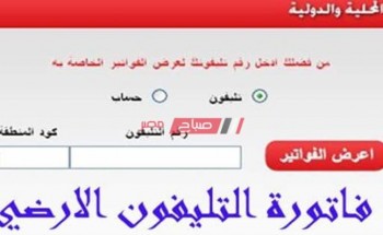 لينك استعلام فاتورة التليفون الأرضي فبراير 2021 موقع المصرية للاتصالات