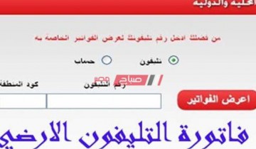 بالرابط ورقم الهاتف الاستعلام عن فاتورة التليفون الأرضي 2021 موقع المصرية للاتصالات