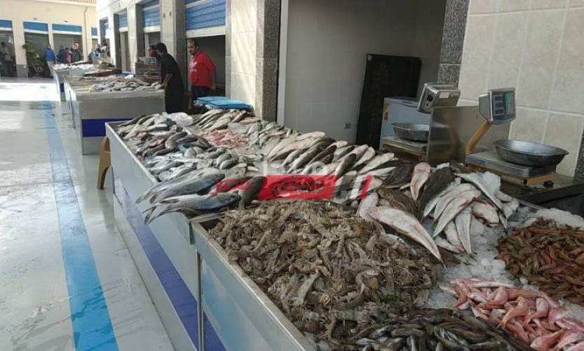 فتح سوق جديد للسمك في بور سعيد وإقبال جماهيري شديد