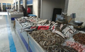 فتح سوق جديد للسمك في بور سعيد وإقبال جماهيري شديد