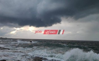 نوة قاسم تضرب الإسكندرية هطول أمطار غزيرة ورياح شديدة بالفيديو
