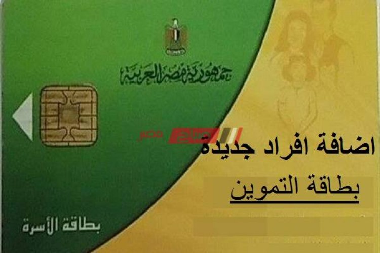 طريقة اضافة المواليد الجدد على بطاقة التموين 2021 بوابة مصر الرقمية