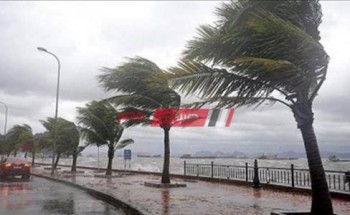 هيئة الارصاد الجوية تنصح بالبعد عن اللوحات الإعلانية والأشجار اثناء العواصف الرعدية