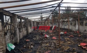 حريق هائل بمزرعة دواجن يلتهم 15 ألف دجاجة فى كفر الشيخ