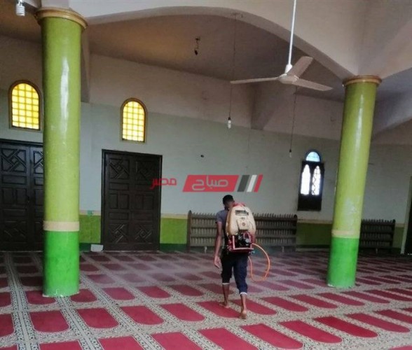 حملات مكبرة لتطهير وتعقيم المساجد بمحافظة الإسكندرية