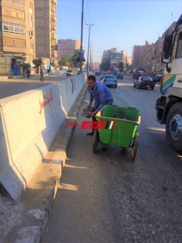 شن حملات مكثفة لرفع المخلفات اليومية بمحافظة الغربية