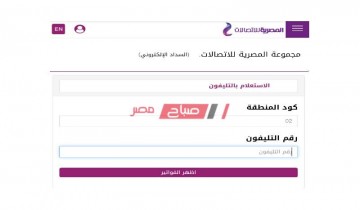 خطوات الاستعلام عن فاتورة التليفون الأرضي من موقع المصرية للاتصالات