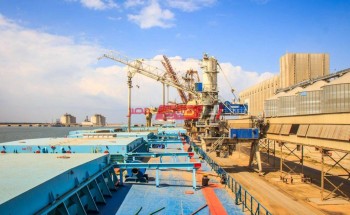 ارتفاع رصيد القمح في مخازن القطاع الخاص داخل ميناء دمياط الى 133 الف طن