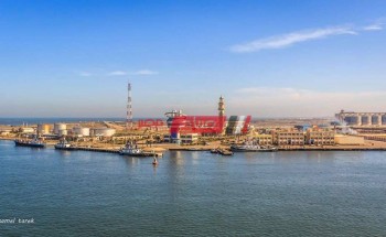 ميناء دمياط يعلن التعامل مع  19 سفينة وارتفاع رصيد صومعة الحبوب والغلال للقطاع العام الى 83.6 ألف طن