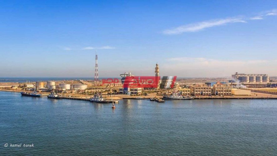 تصدير 160 طن بطاطس و 140 طن خشب زان عبر ميناء دمياط