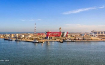 تصدير 160 طن بطاطس و 140 طن خشب زان عبر ميناء دمياط