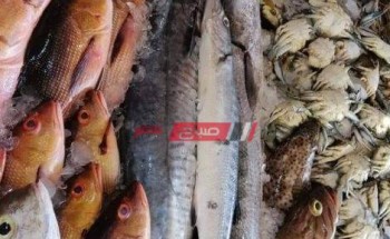 استقرار في أسعار الأسماك لكل الانواع المصرية اليوم الأربعاء 4-5-2022 ثالث يوم في العيد