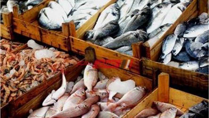 أسعار الأسماك بكافة أنواعها اليوم الخميس 13-5-2021 في السوق المصري