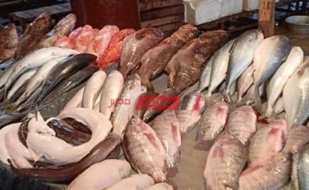 أسعار الأسماك والجمبري اليوم الخميس 5-5-2022 في الإسكندرية