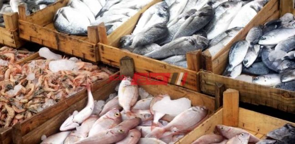 استقرار أسعار الأسماك اليوم الأحد 20-3-2022 دون زيادة في مصر